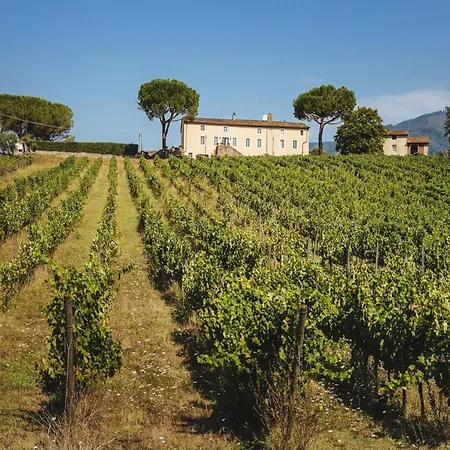 Tuscany Vineyard Retreat Villa Capannori