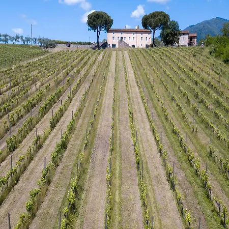 Tuscany Vineyard Retreat