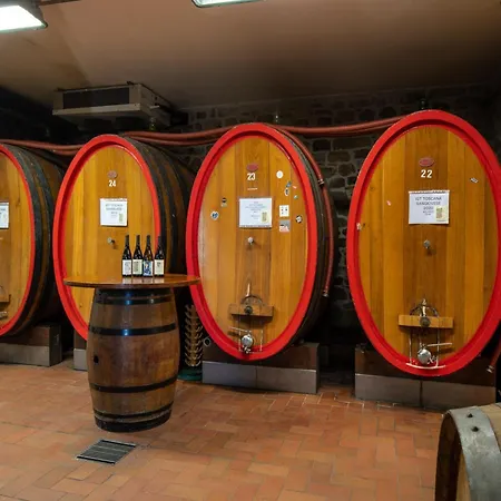 Tuscany Vineyard Retreat Capannori